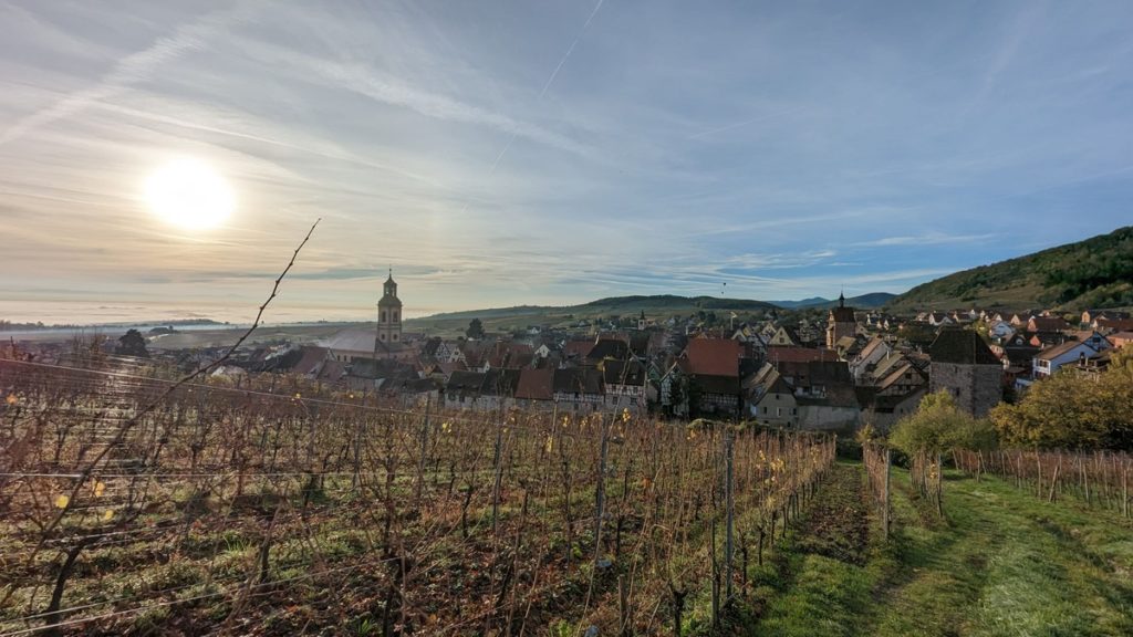 Séance dégustation grand vins de Bourgogne - Vinotours